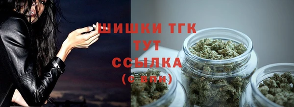 эйфоретик Дмитриев