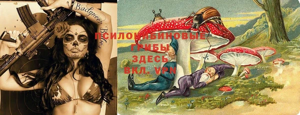 хмурый Дмитровск