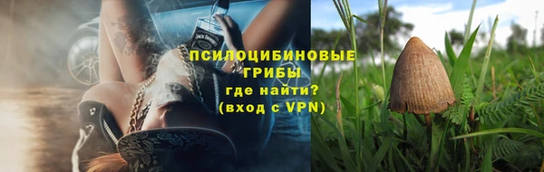 mdpv Гусь-Хрустальный