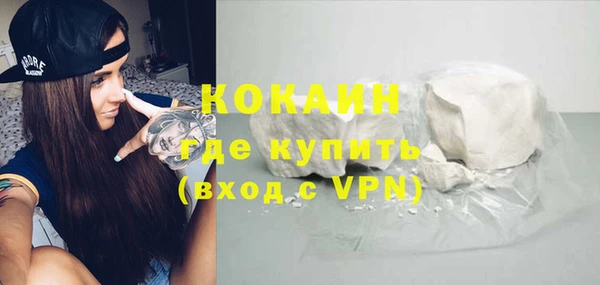 твердый Дмитров