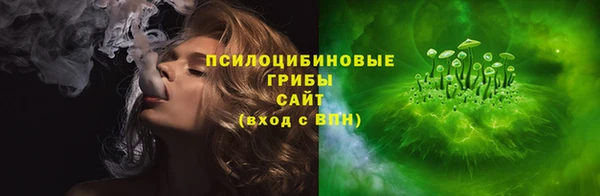 хмурый Дмитровск