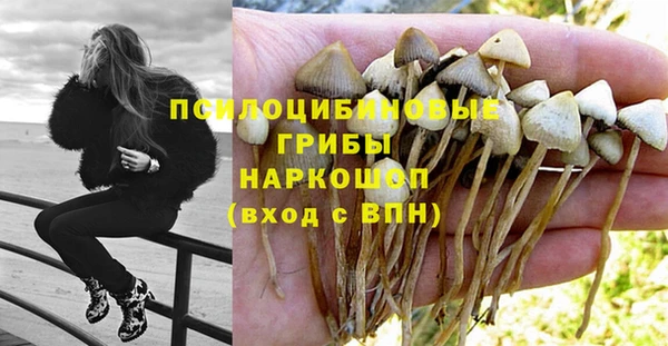 эйфоретик Дмитриев