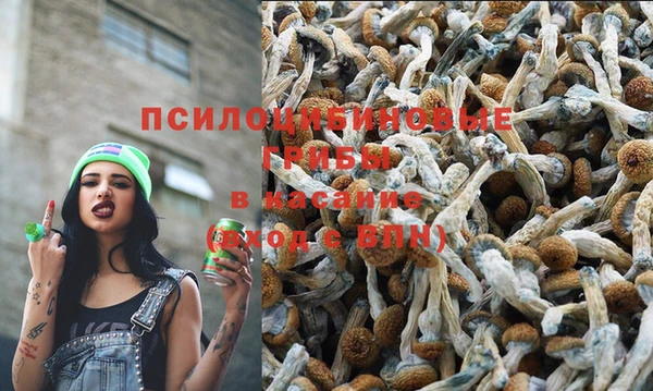 эйфоретик Дмитриев