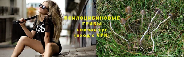 хмурый Дмитровск