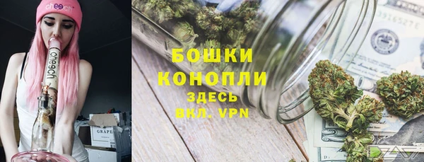 твердый Дмитров