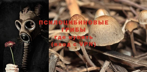 хмурый Дмитровск