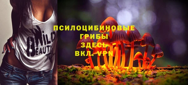 твердый Дмитров