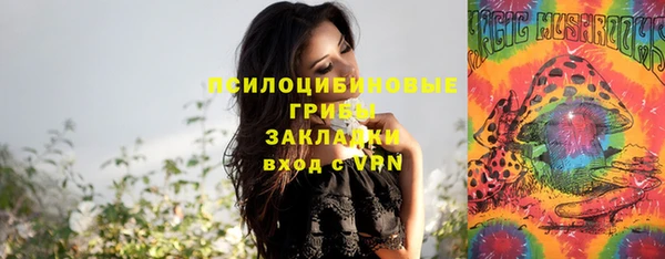 эйфоретик Дмитриев