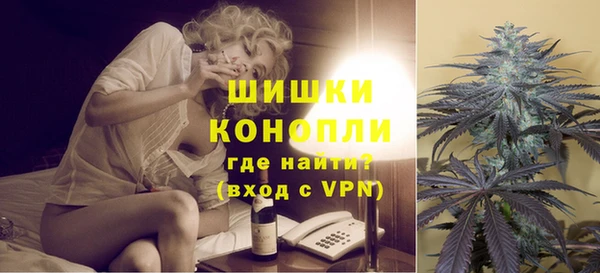 хмурый Дмитровск