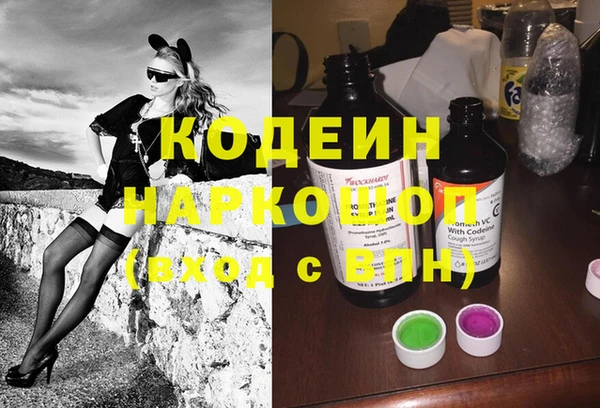 хмурый Дмитровск