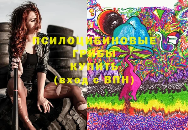 эйфоретик Дмитриев