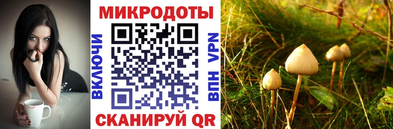 Псилоцибиновые грибы мухоморы  shop телеграм  Эртиль  где можно купить наркотик  ОМГ ОМГ сайт 
